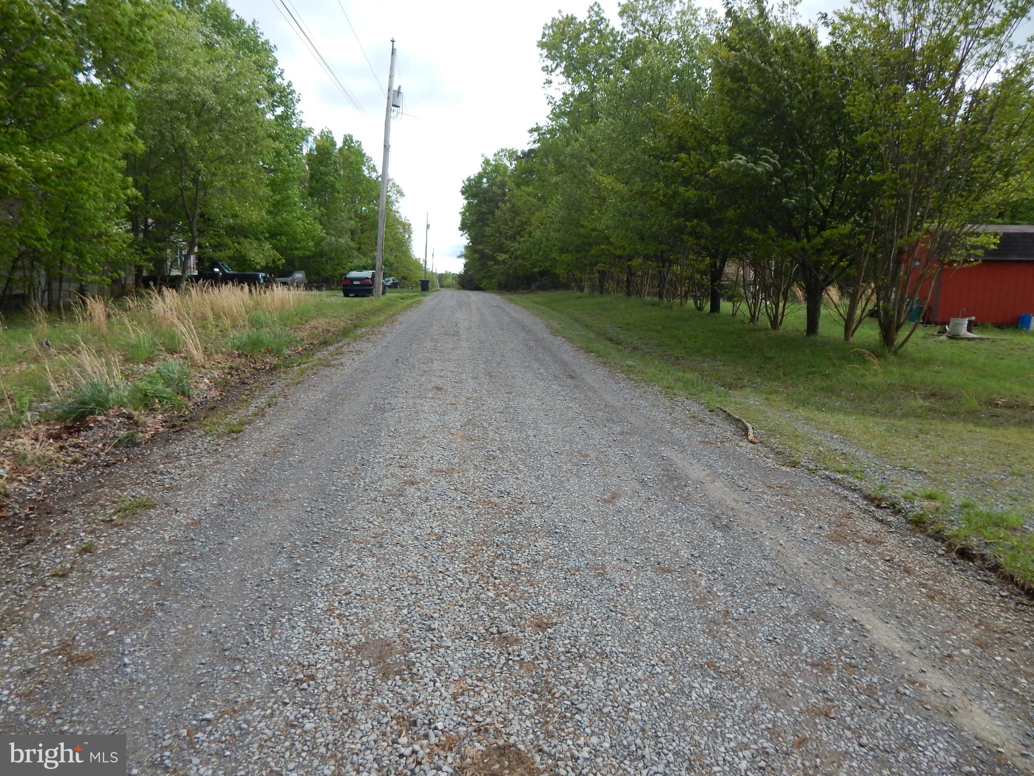 Plum Tree LANE