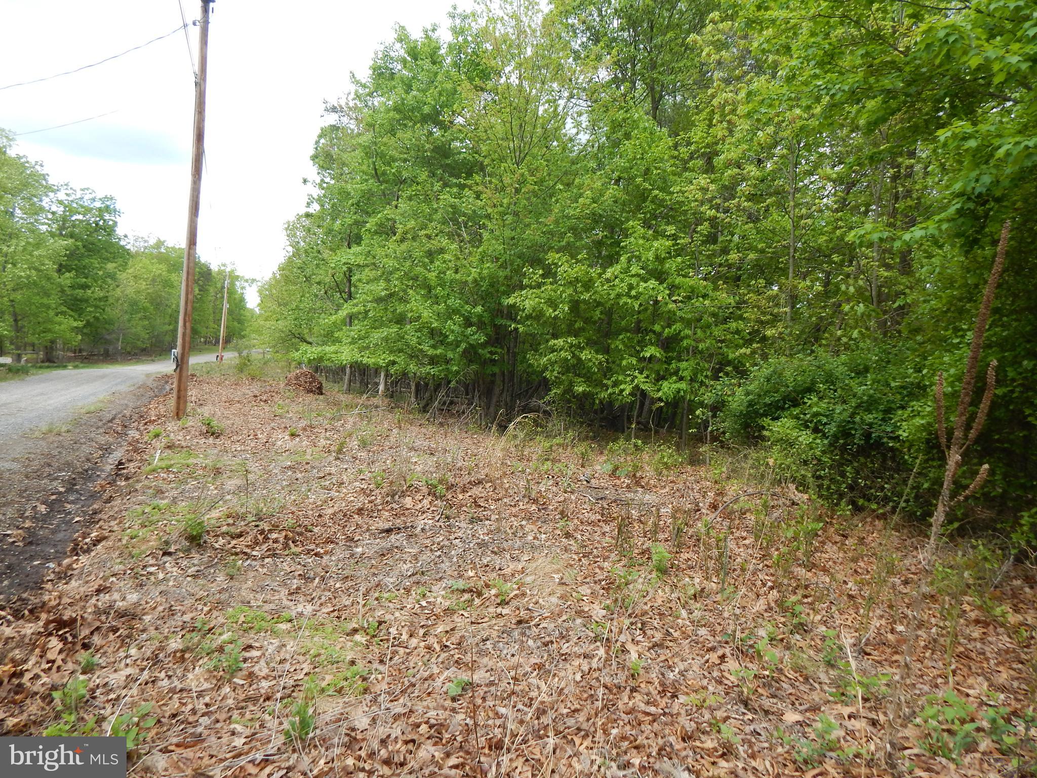 Plum Tree LANE