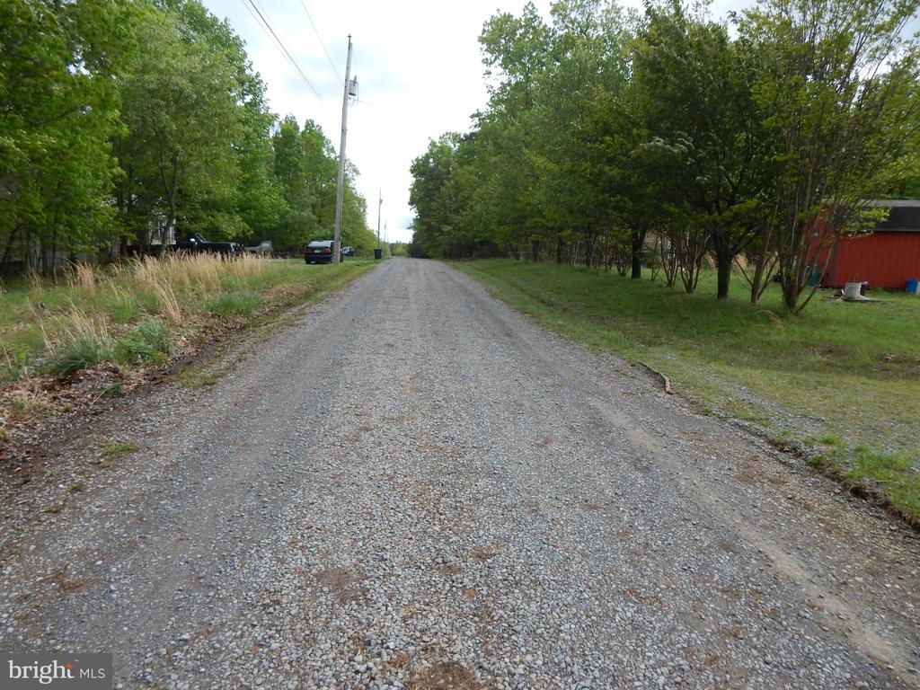 Plum Tree LANE