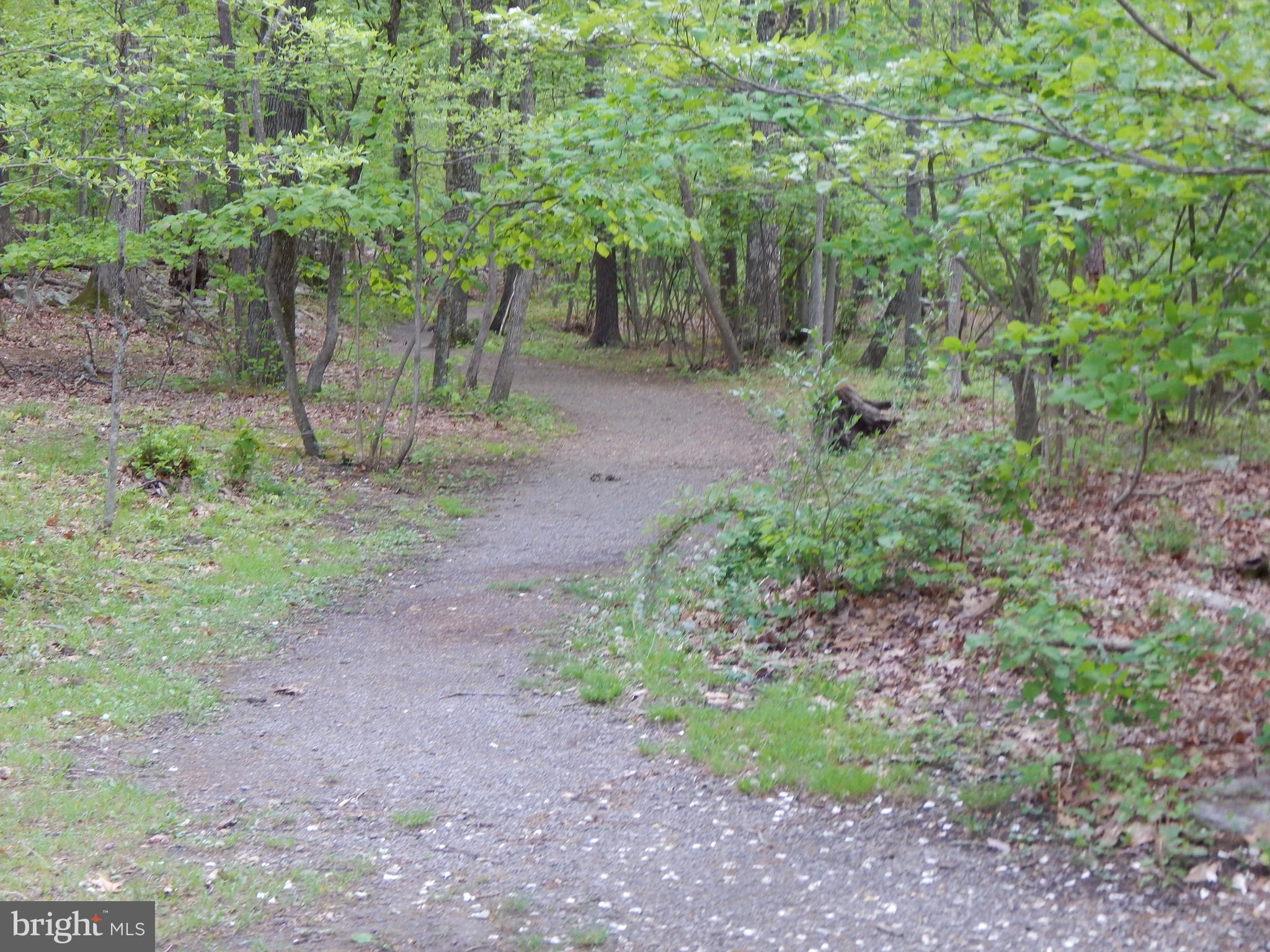 Plum Tree LANE