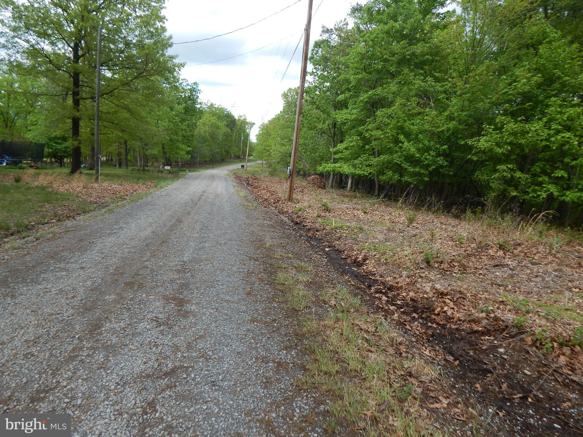 Plum Tree LANE