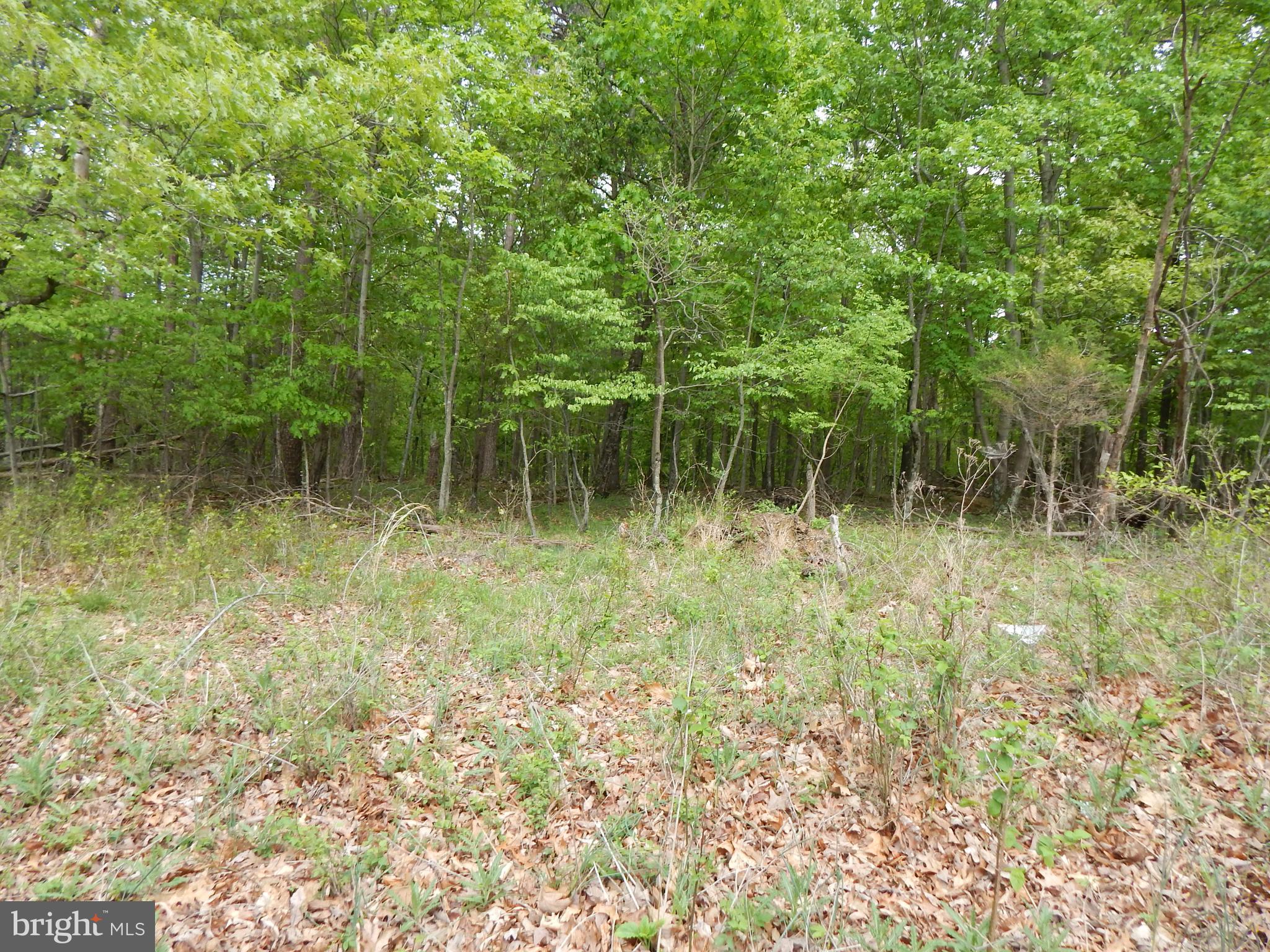 Plum Tree Ln
