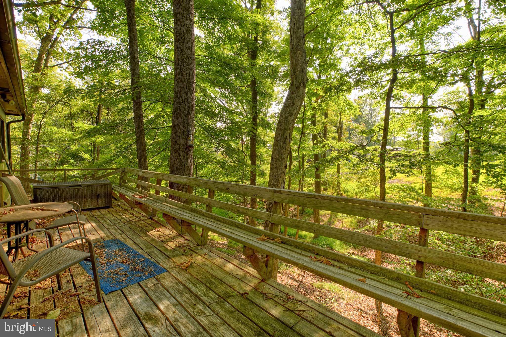 142 Redbud Ln