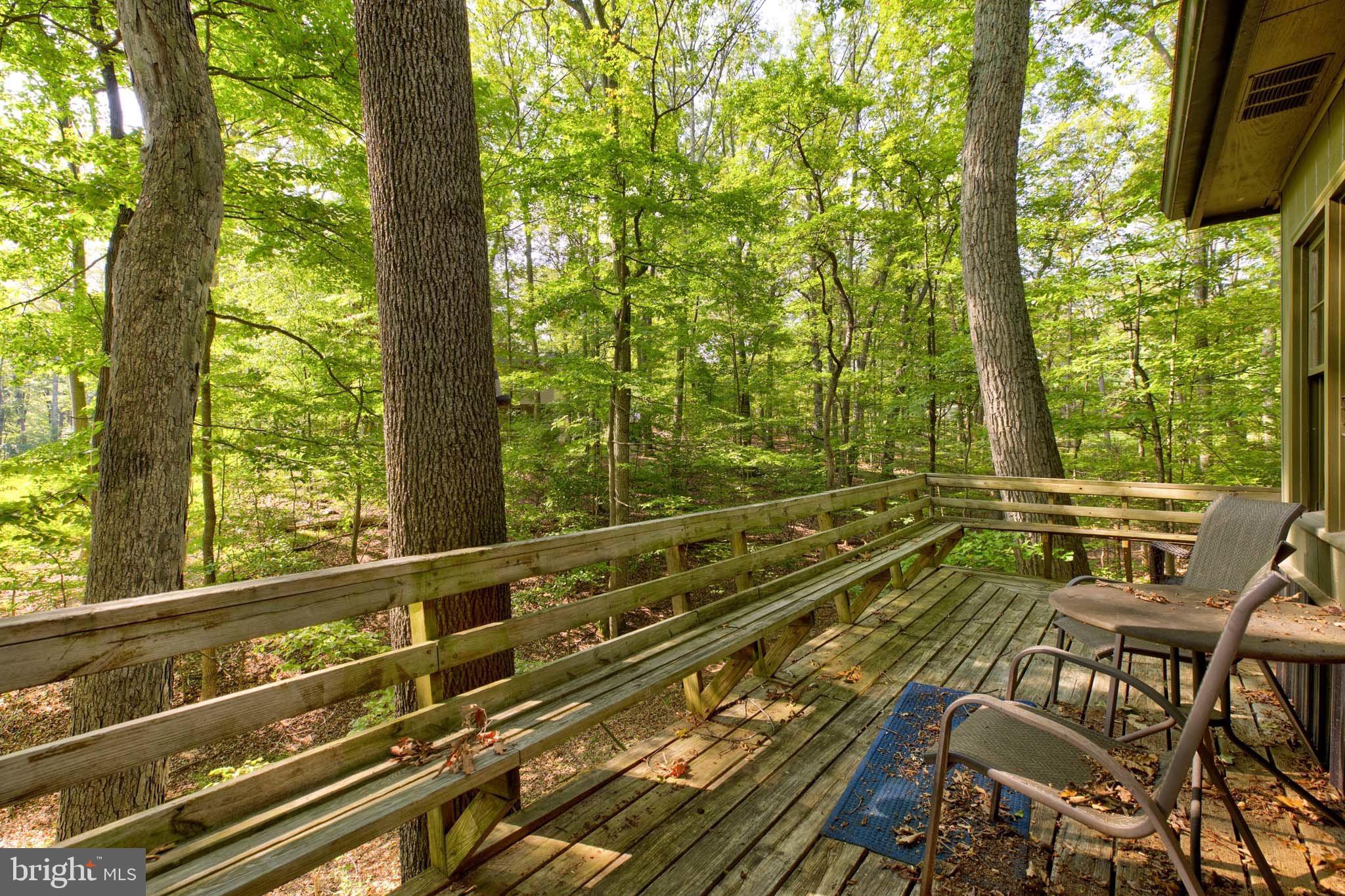 142 Redbud Ln