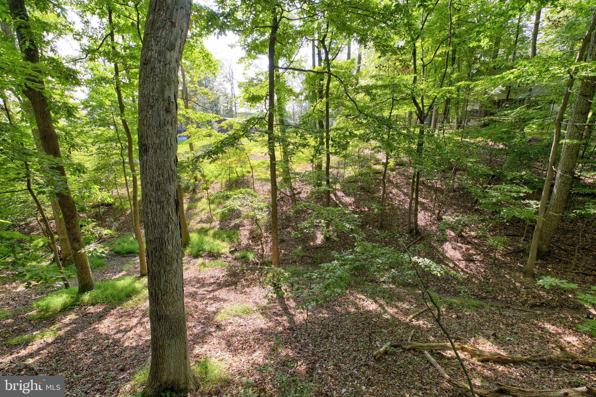 142 Redbud Ln