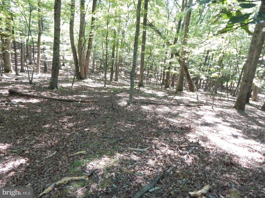 Sideling Mountain Trl
