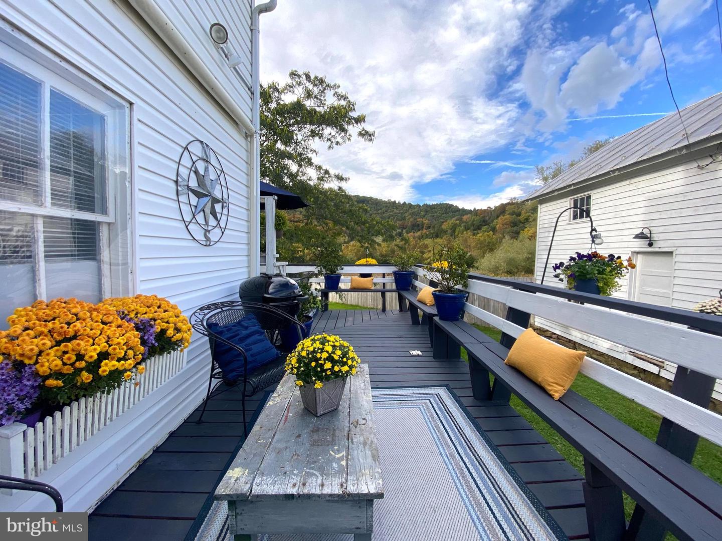 3935 Blue Gray TRAIL