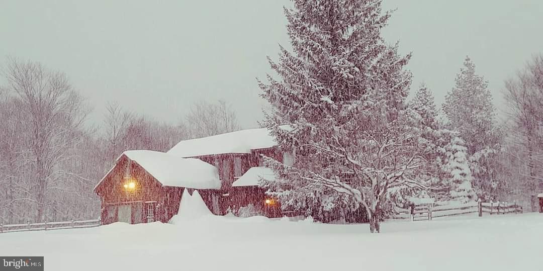 2598 TIMBERLINE ROAD