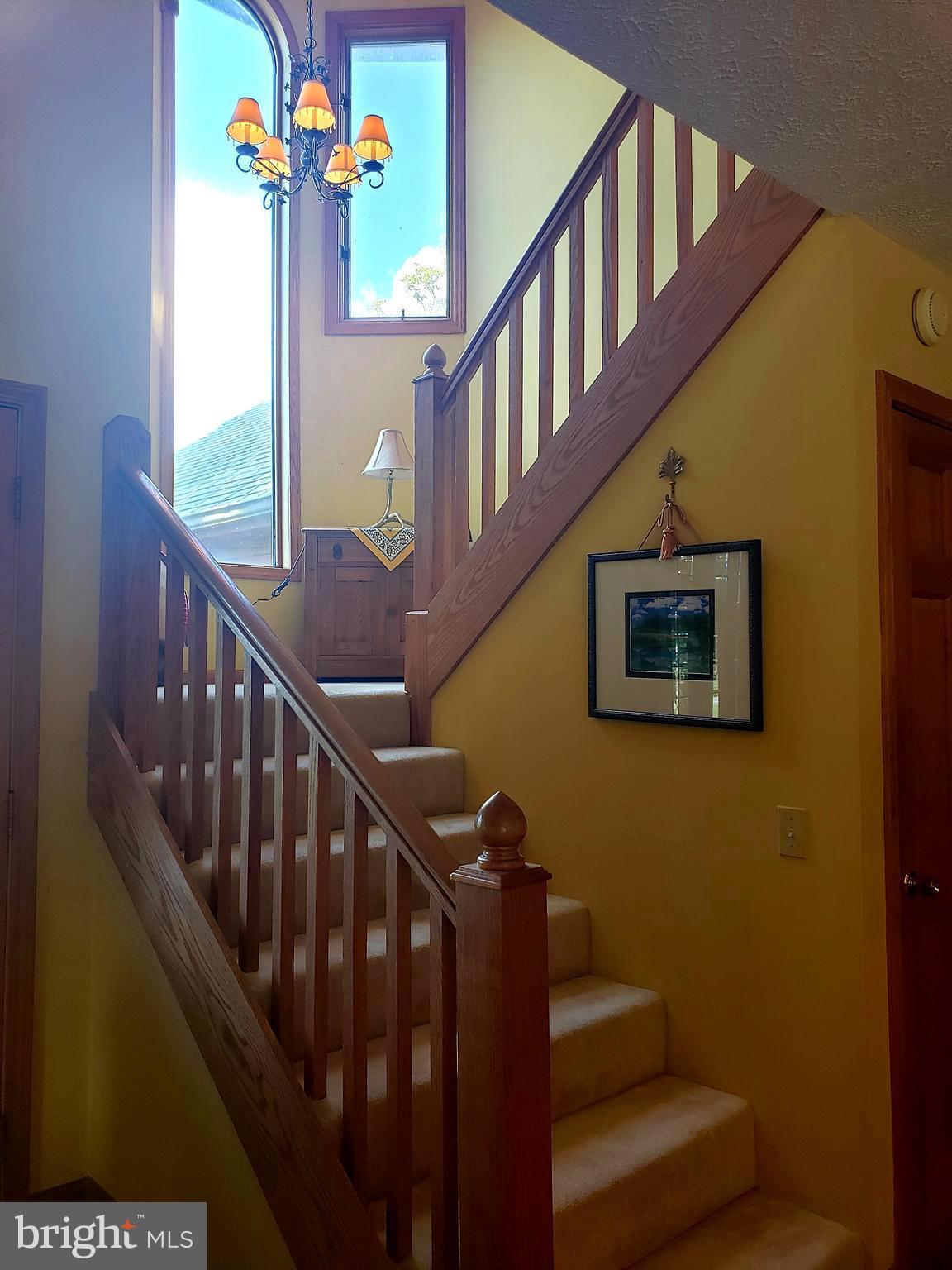 2598 TIMBERLINE ROAD