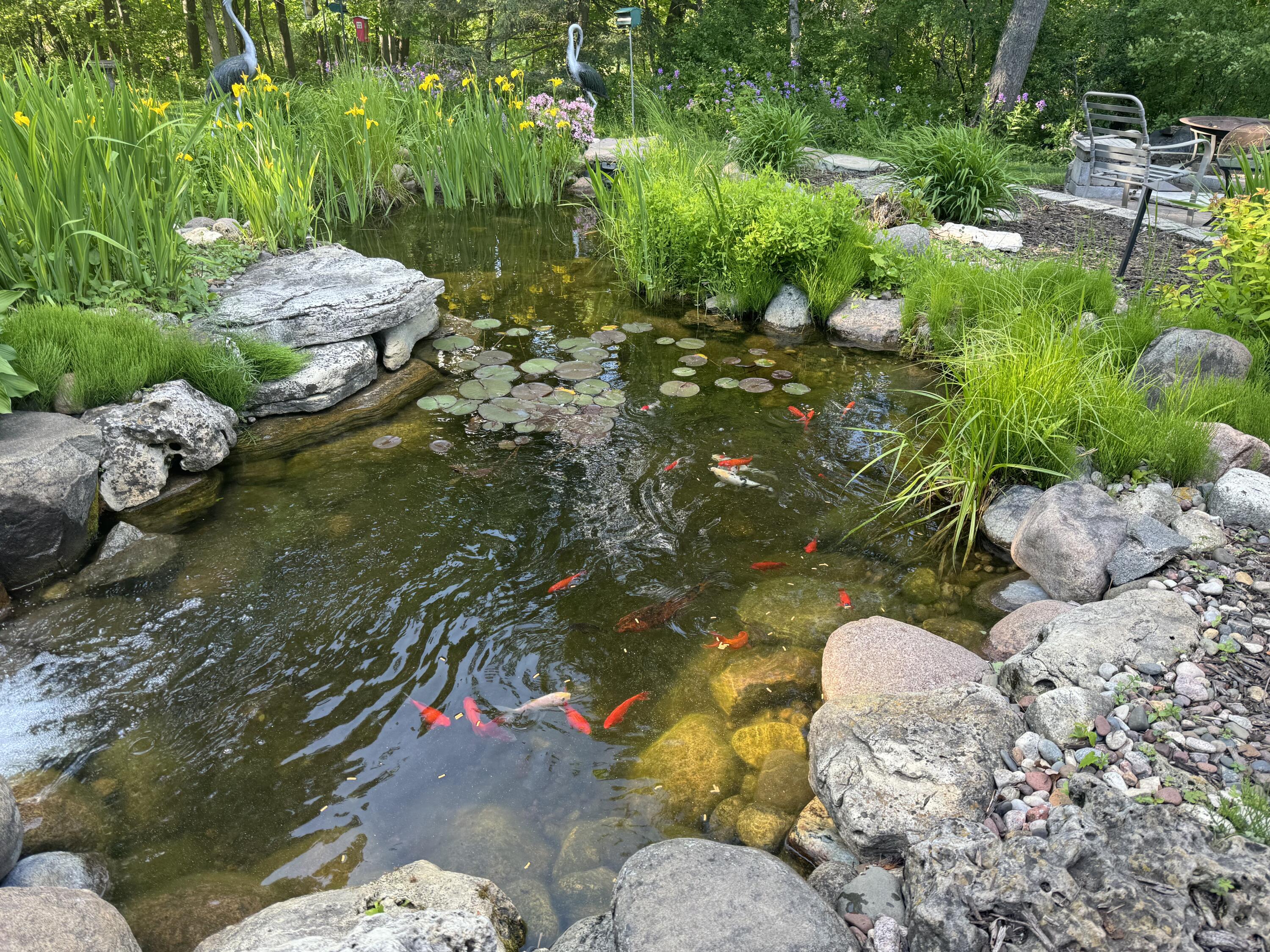 3172 Willowgate Pass