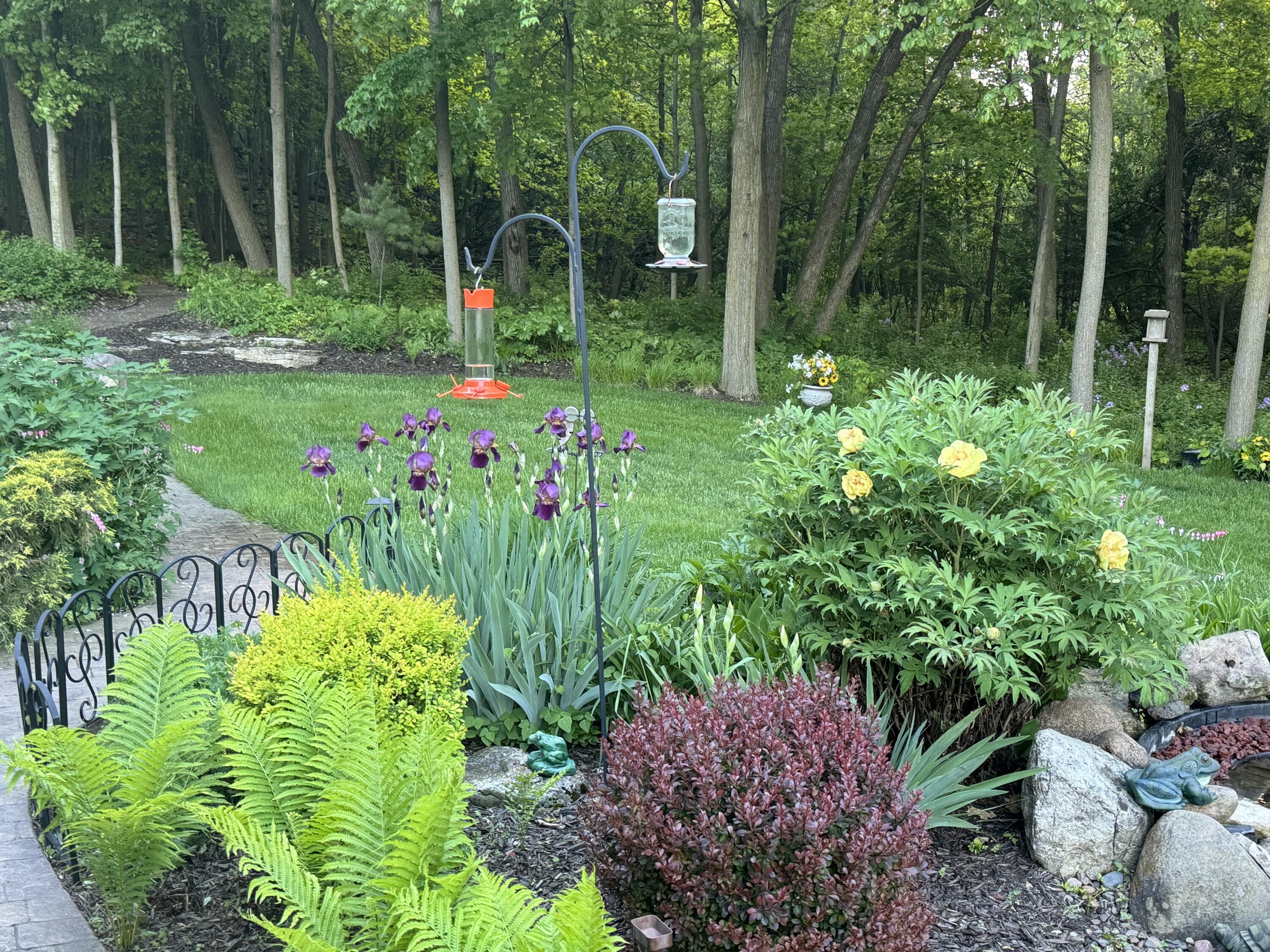 3172 Willowgate Pass