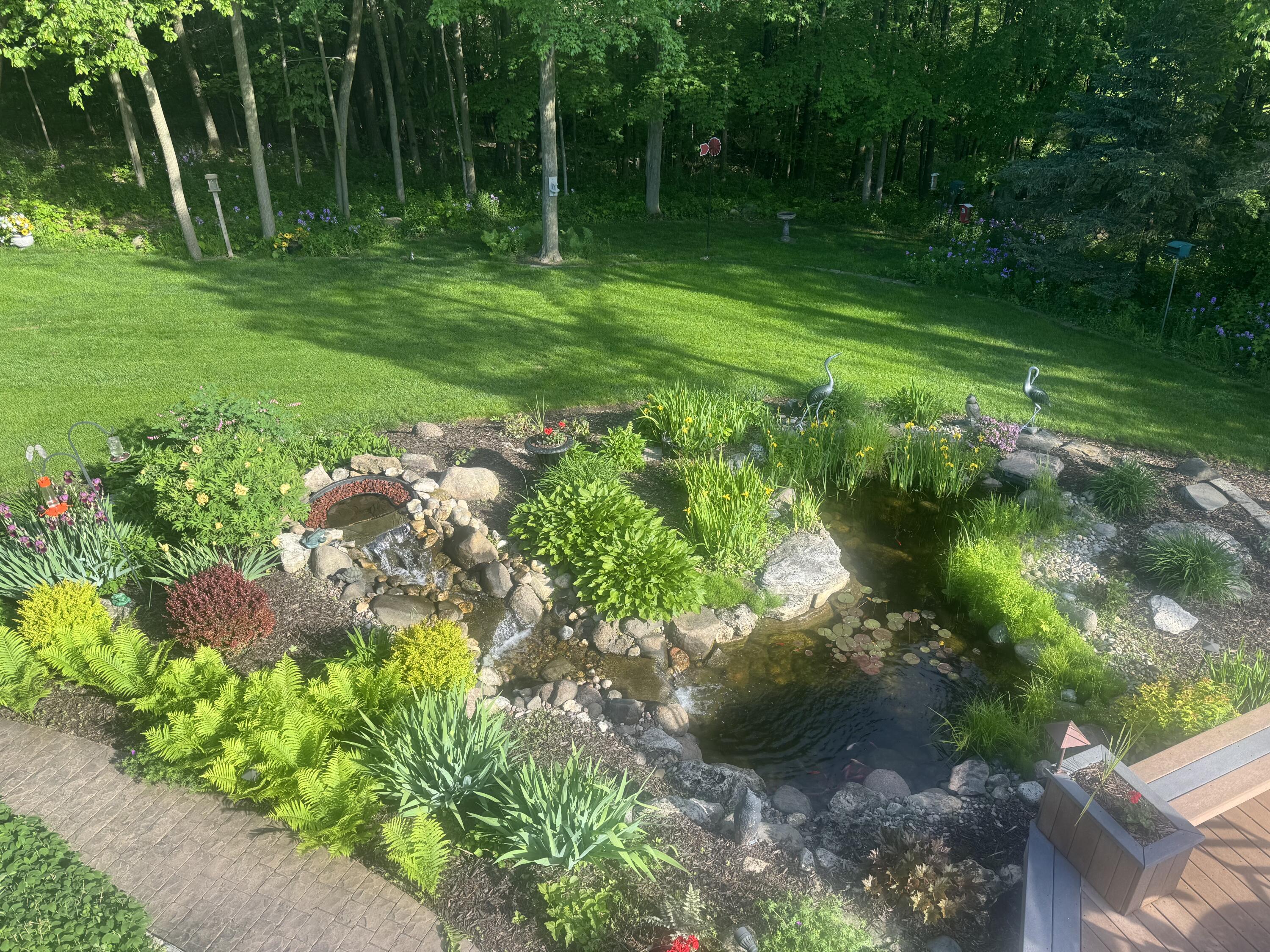 3172 Willowgate Pass