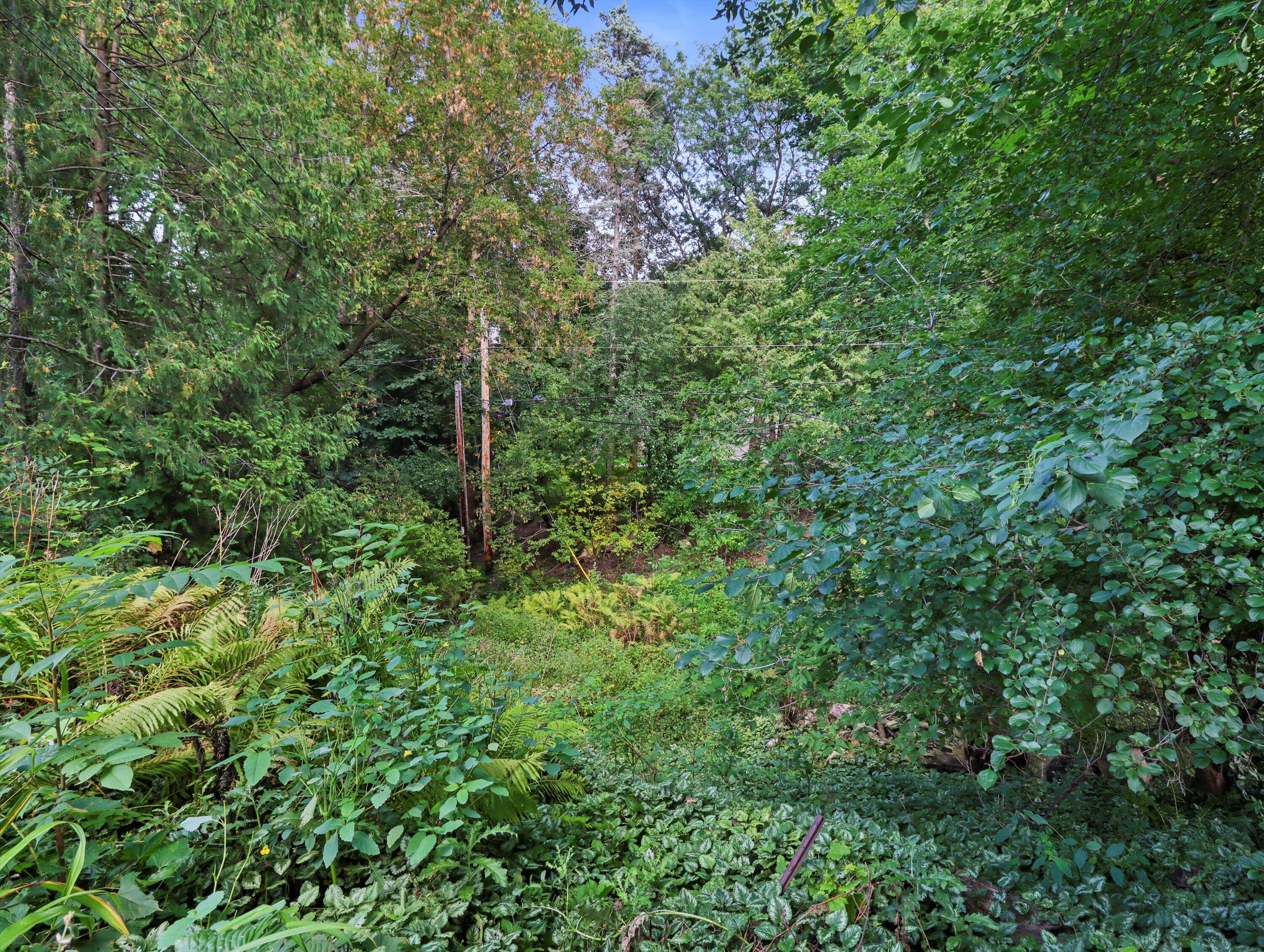 165 Riverview Ct