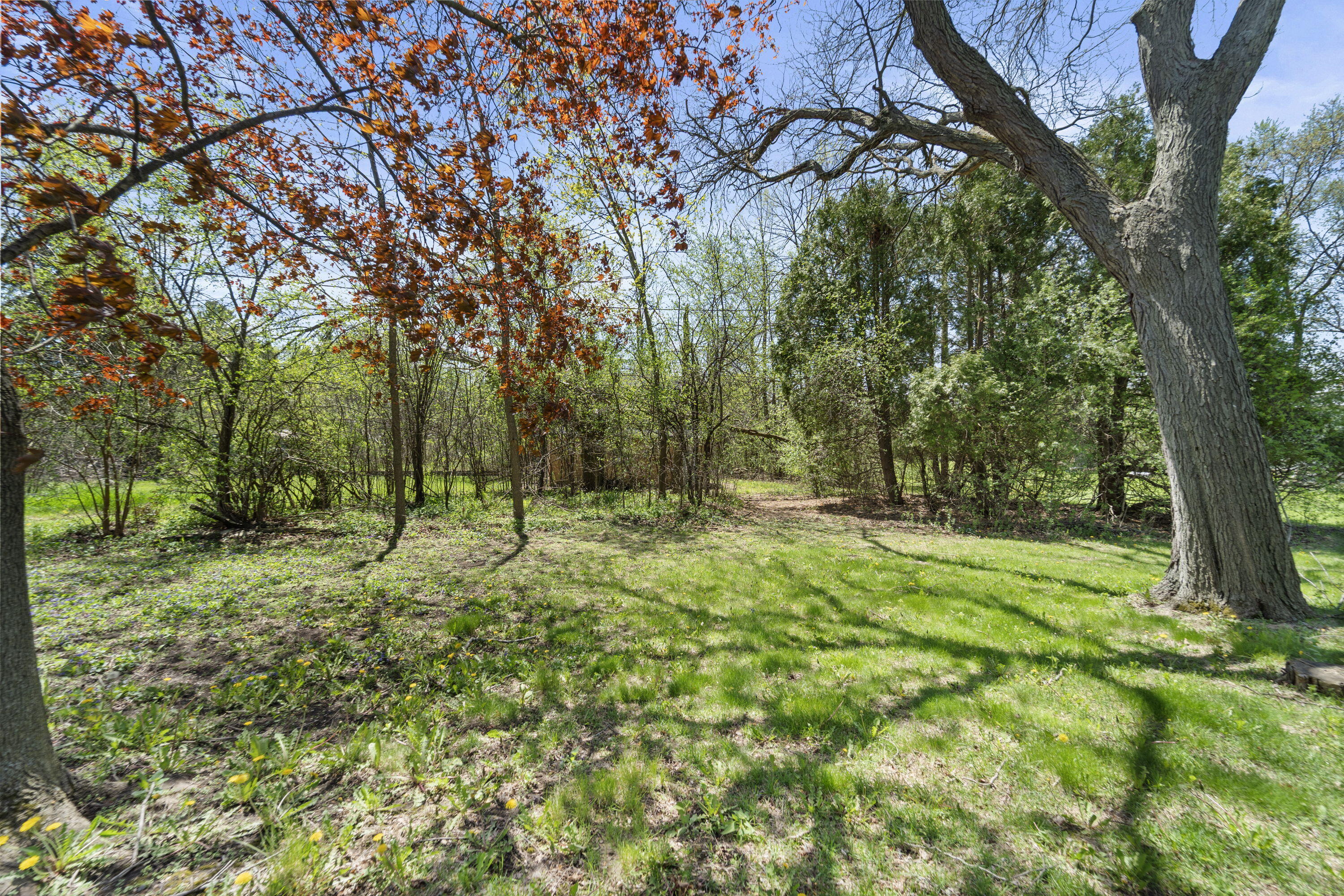 1533 W El Rancho Dr
