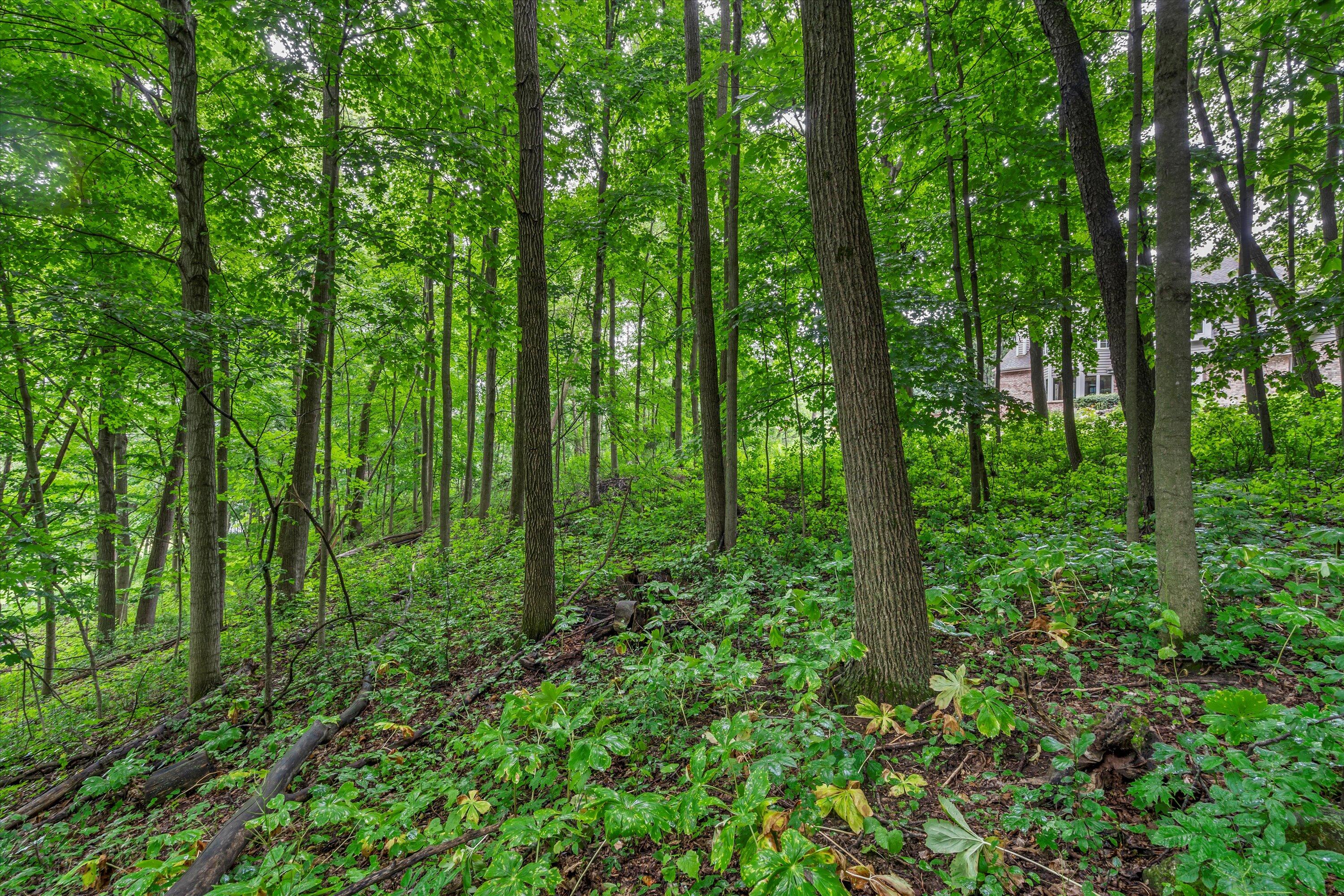 3172 Willowgate Pass