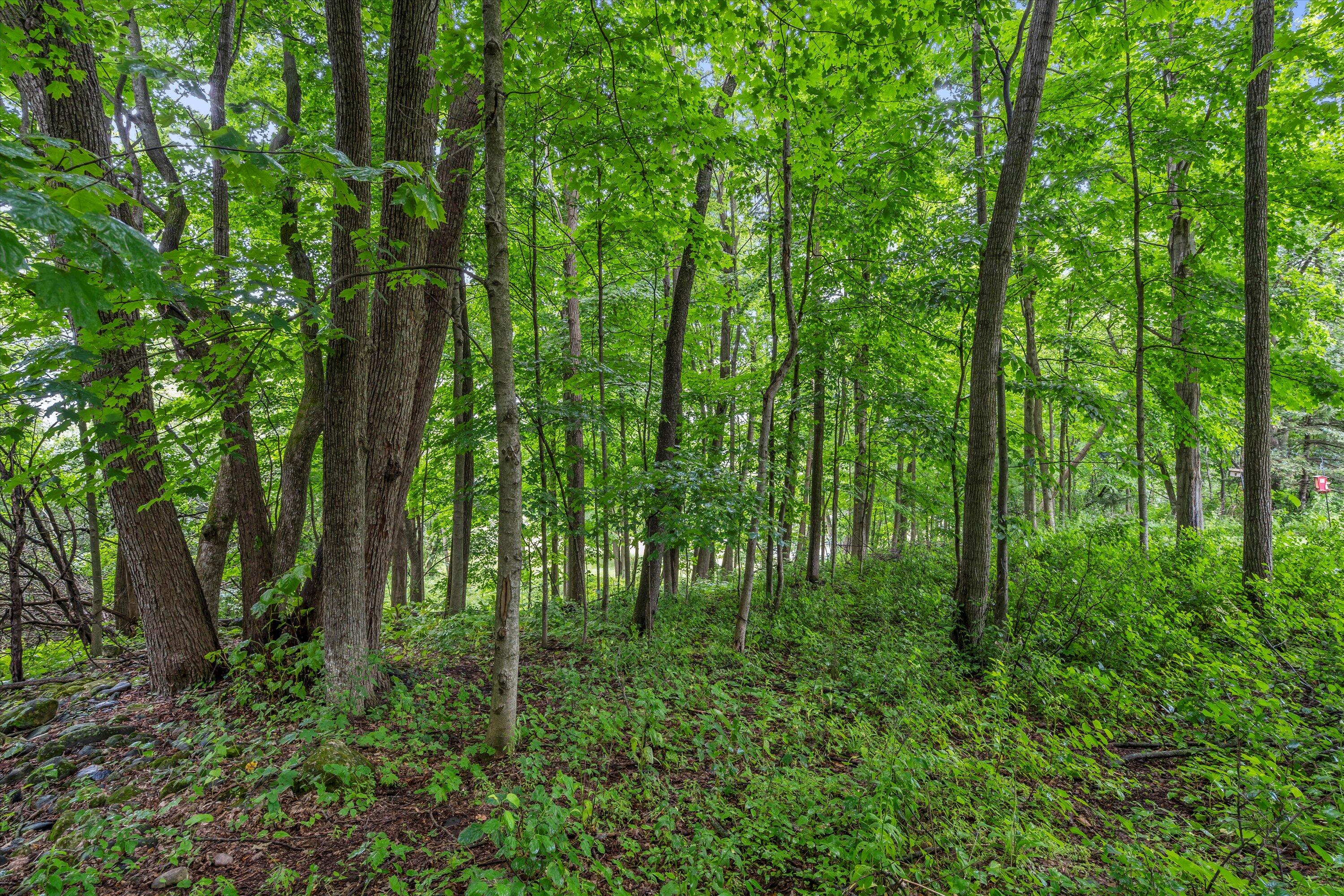 3172 Willowgate Pass