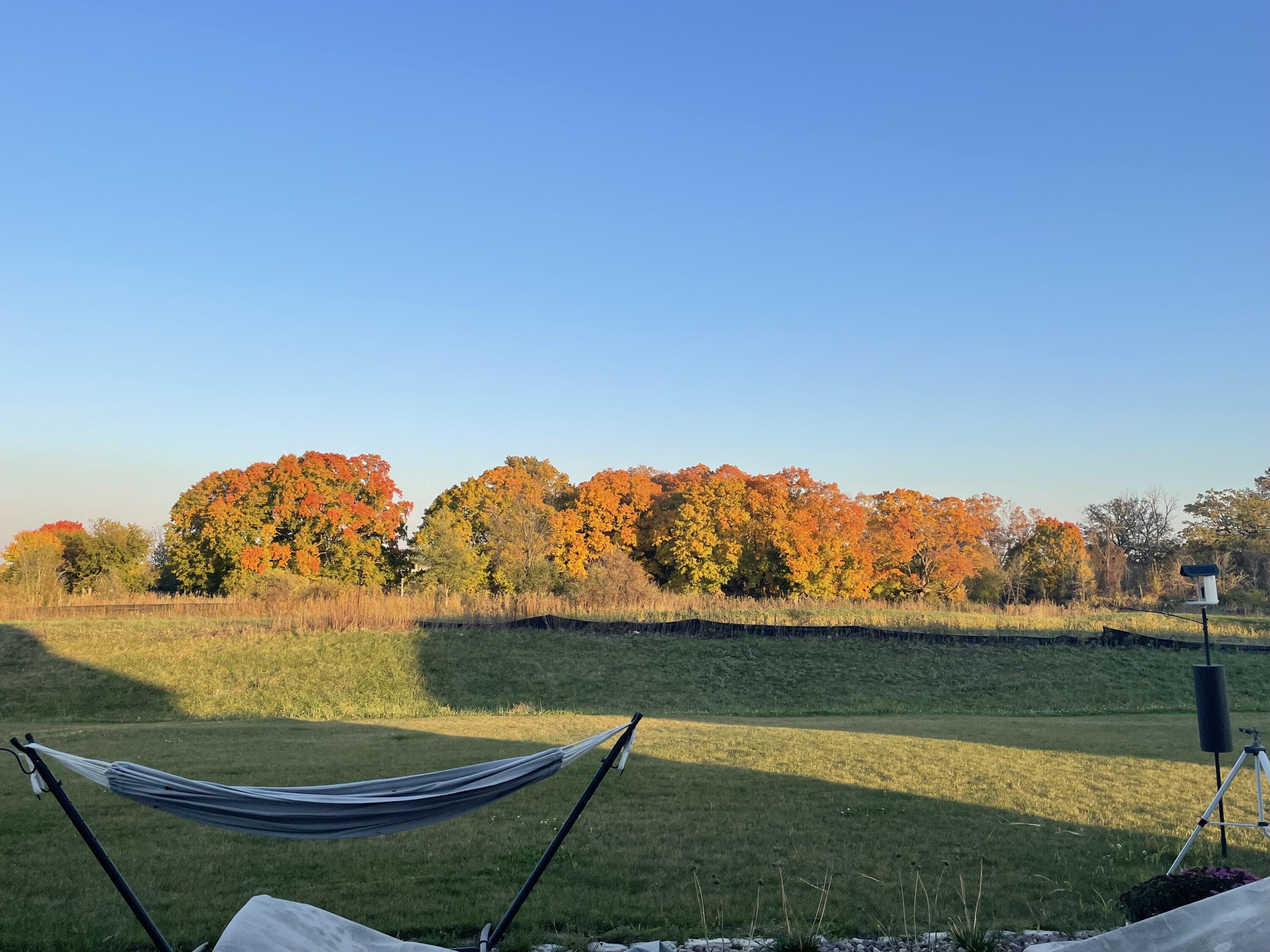 740 Kohlwey Dr
