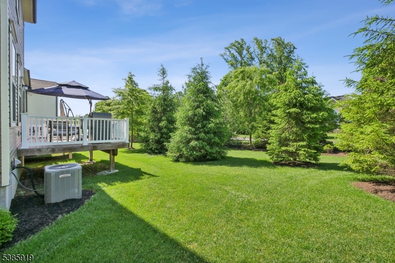 56 Albert Ct