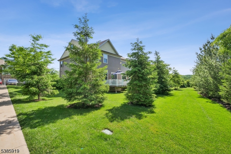 56 Albert Ct