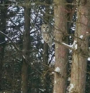 11691 115th Street N