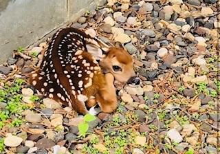 11691 115th Street N