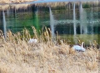 11691 115th Street N