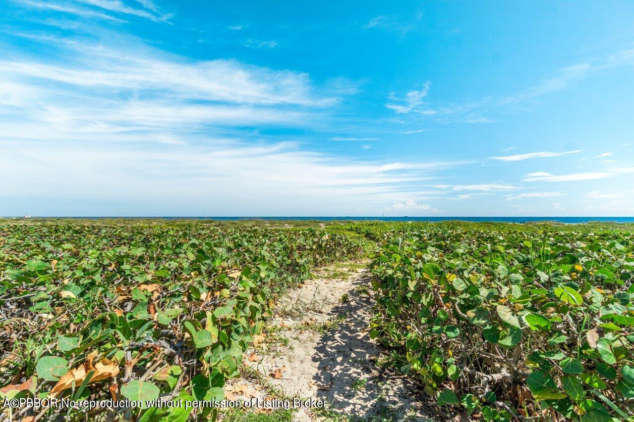 1426 N ocean Boulevard