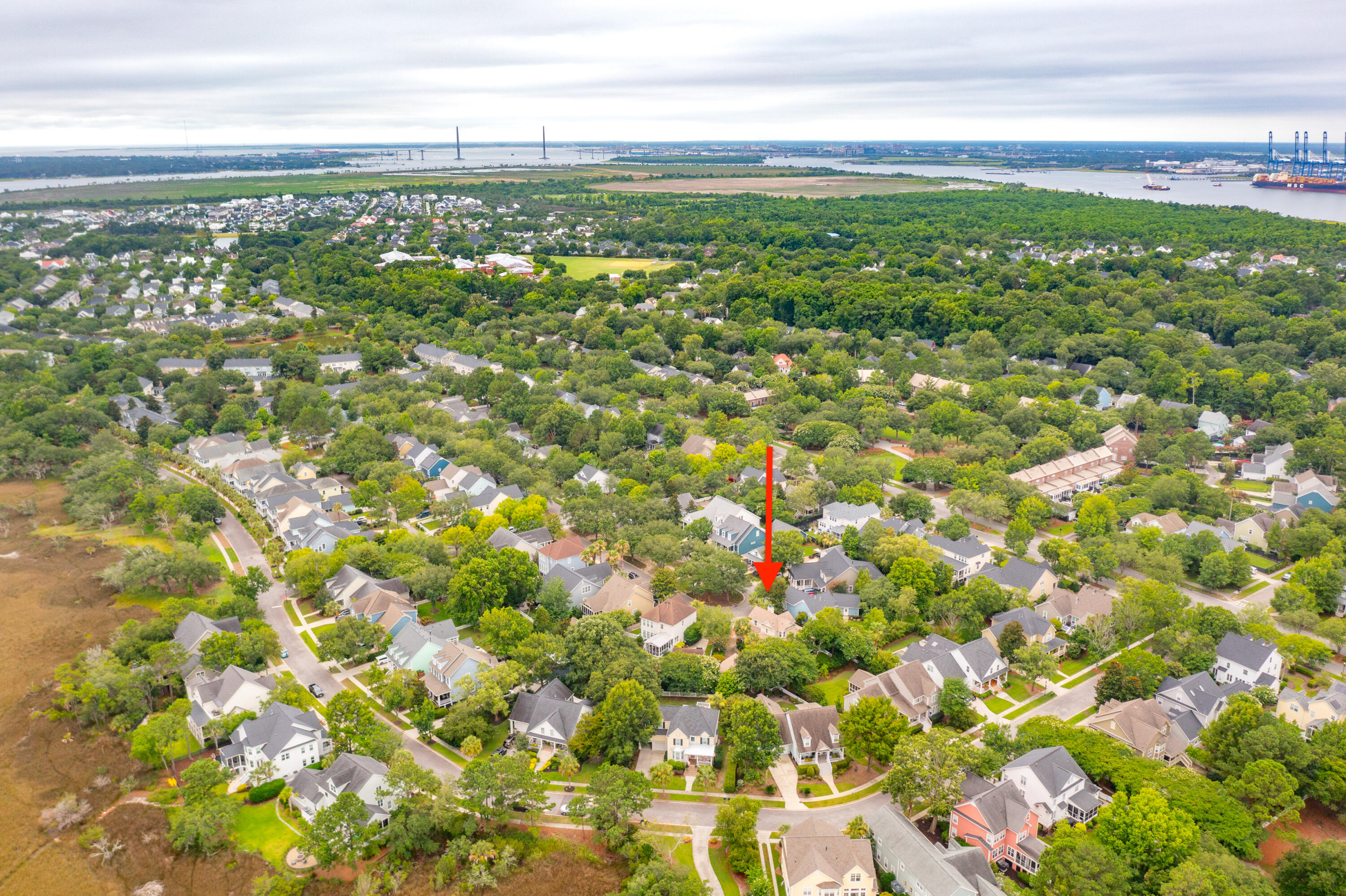 1313 Elfe Street Street