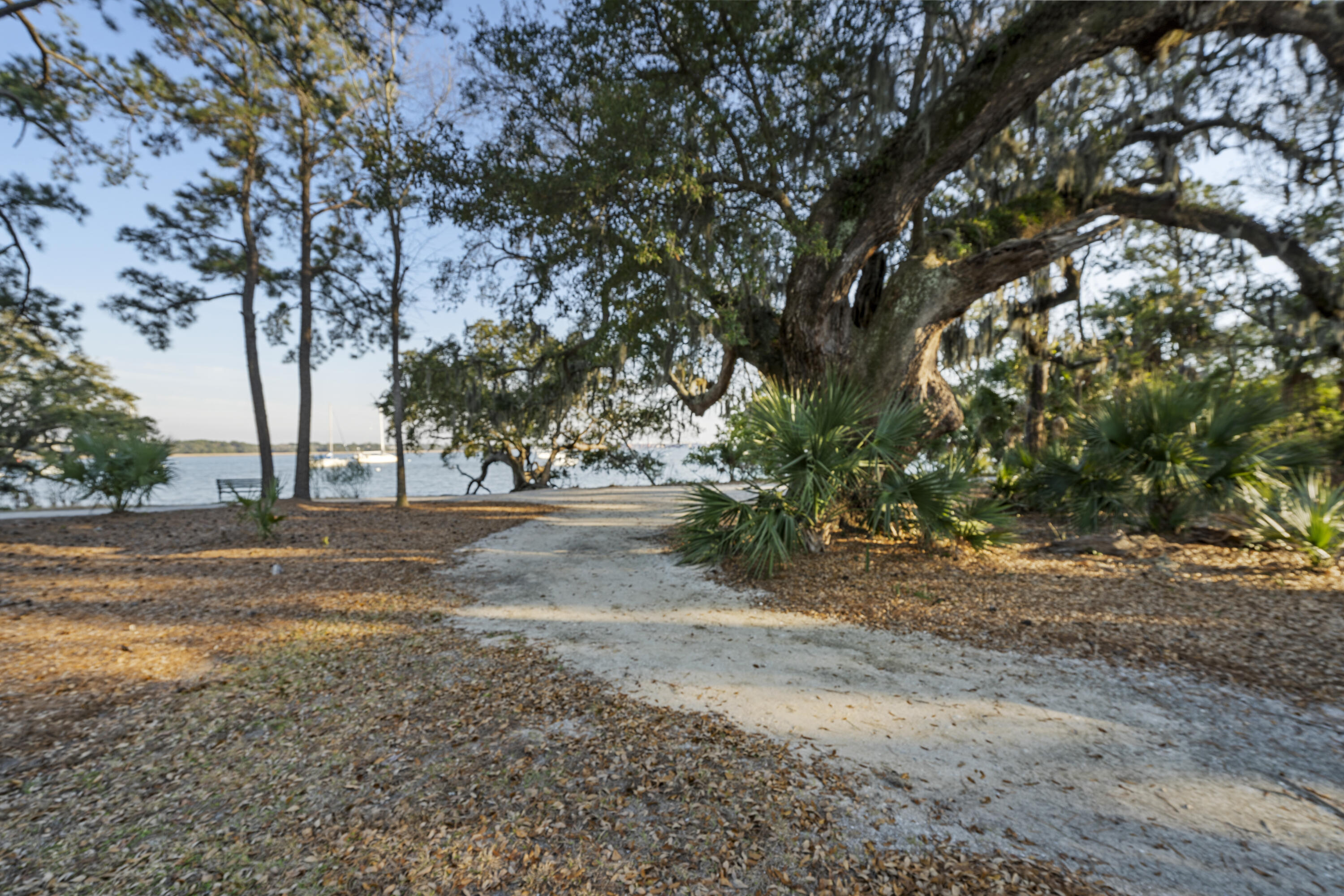 130 River Landing Drive # 4209