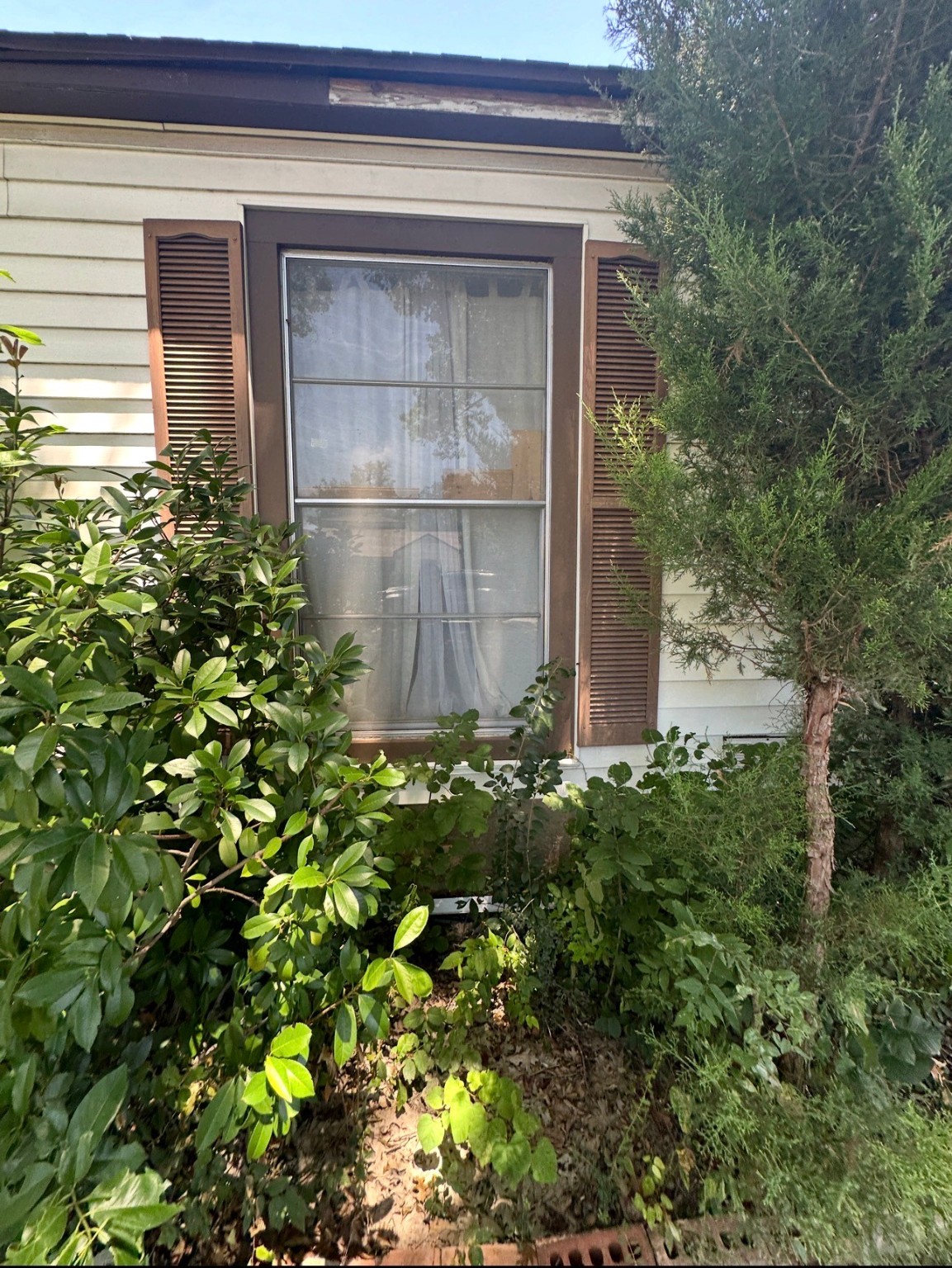 909 Ashwood Drive