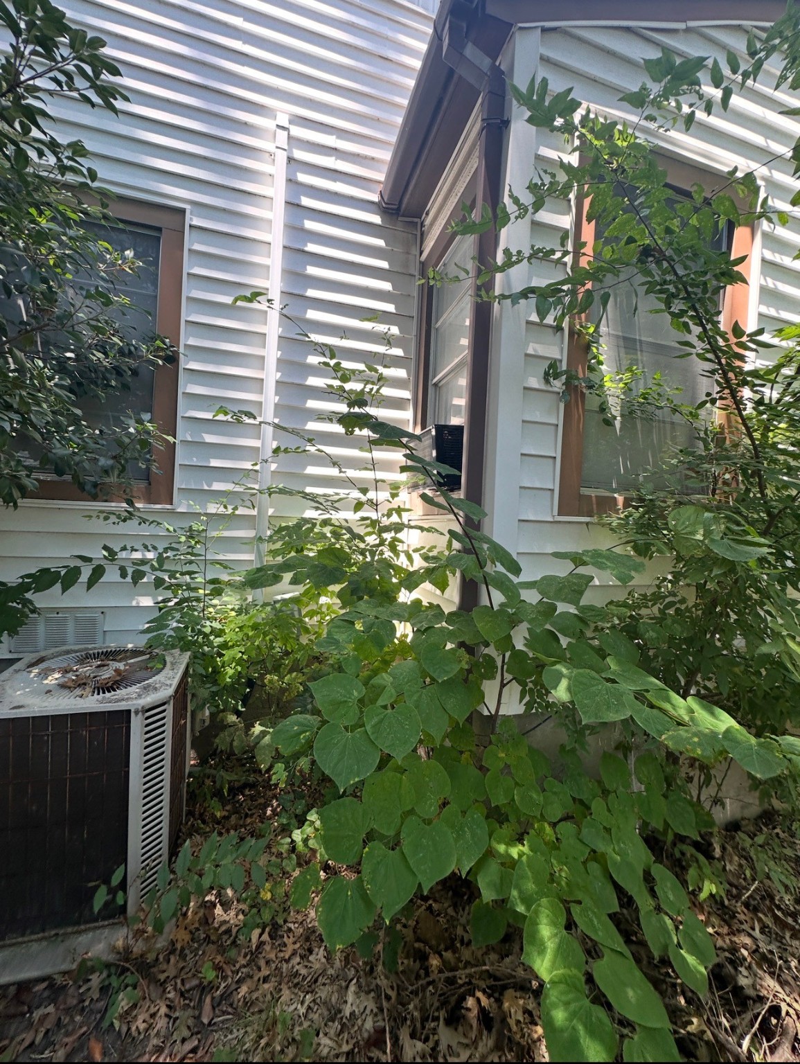 909 Ashwood Drive
