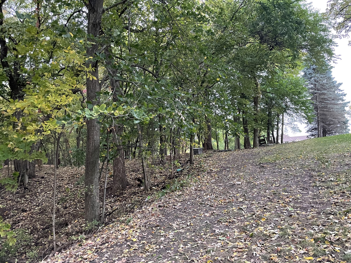 16 Timber Ridge Drive