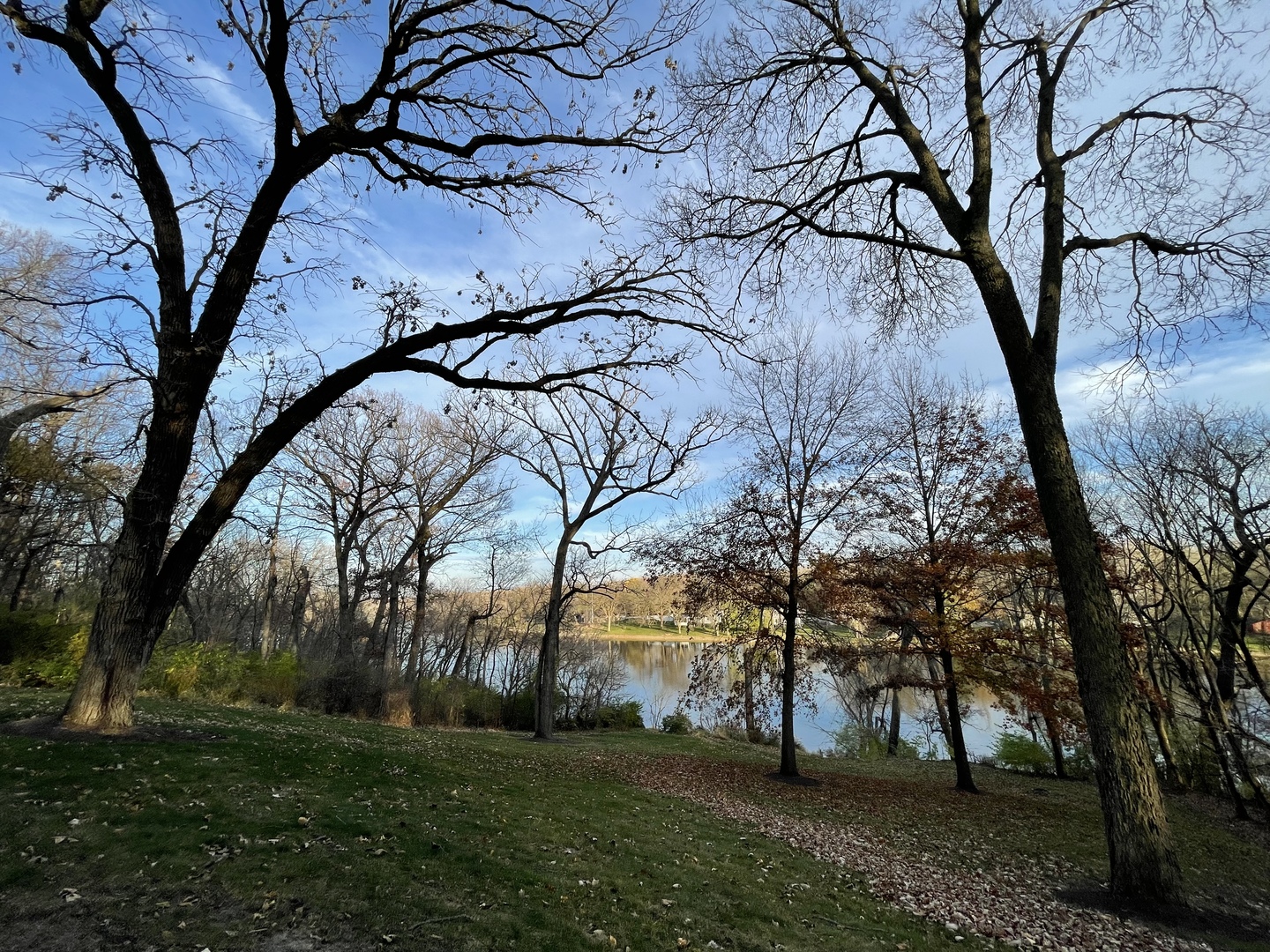 16 Timber Ridge Drive