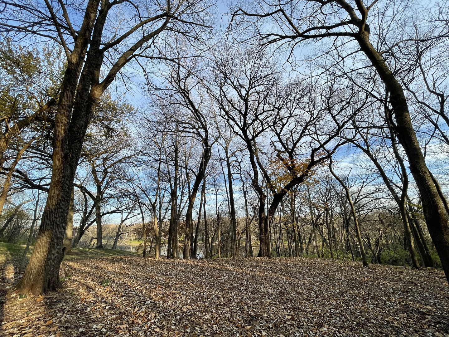 16 Timber Ridge Drive