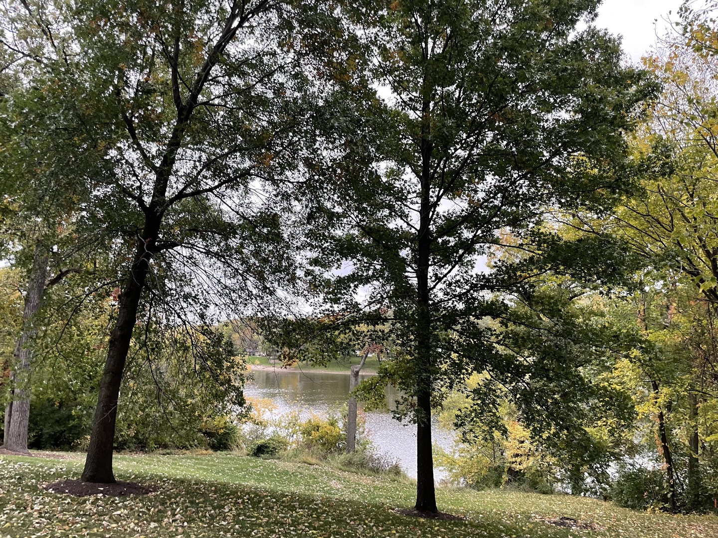 16 Timber Ridge Drive