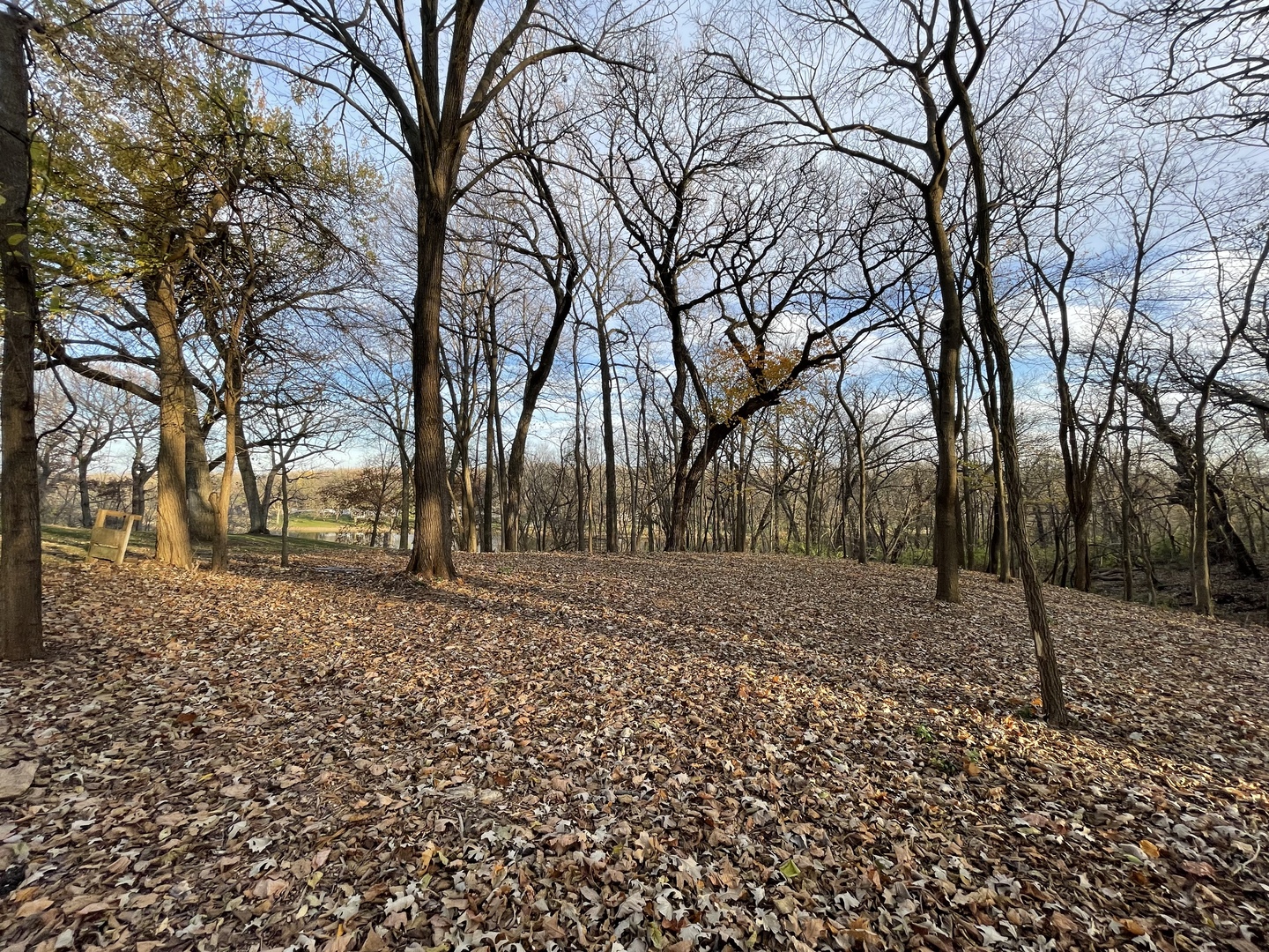 16 Timber Ridge Drive