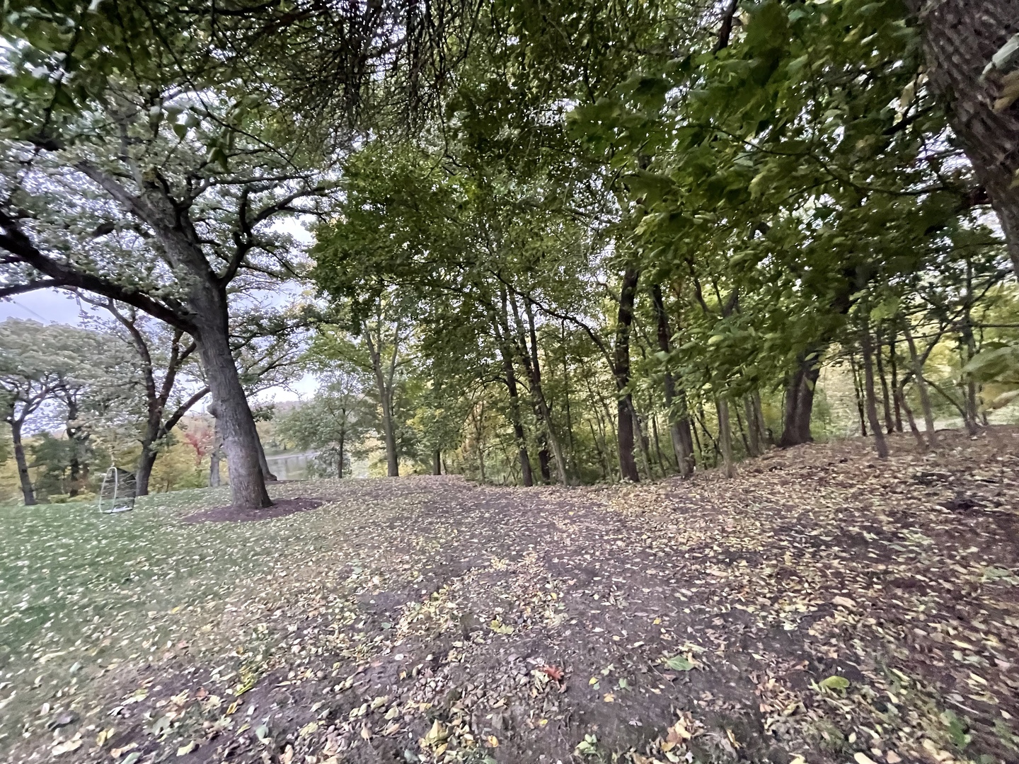 16 Timber Ridge Drive