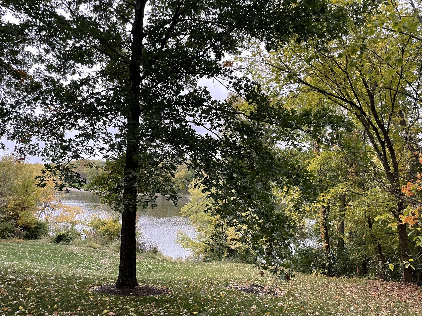 16 Timber Ridge Drive