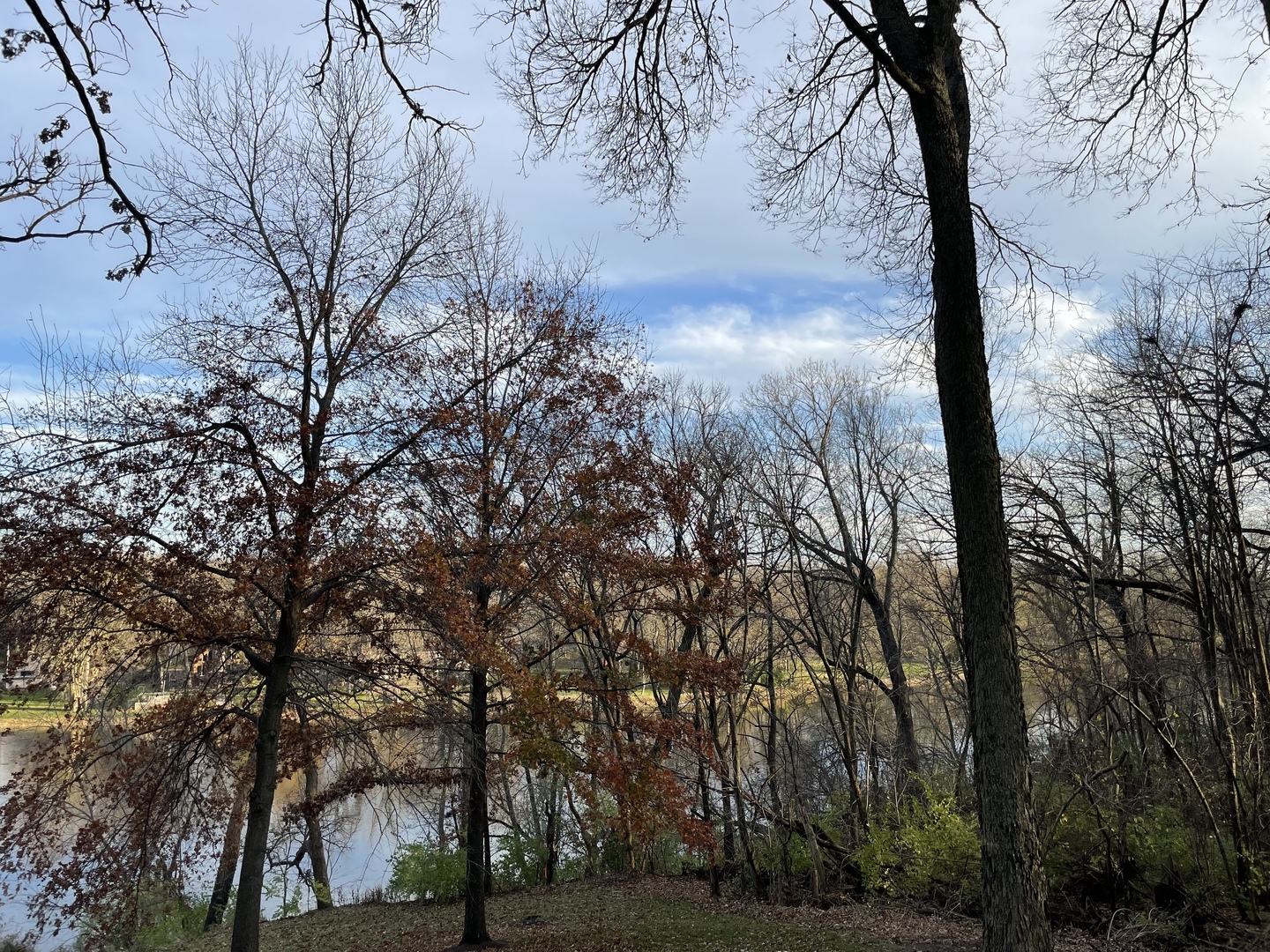 16 Timber Ridge Drive