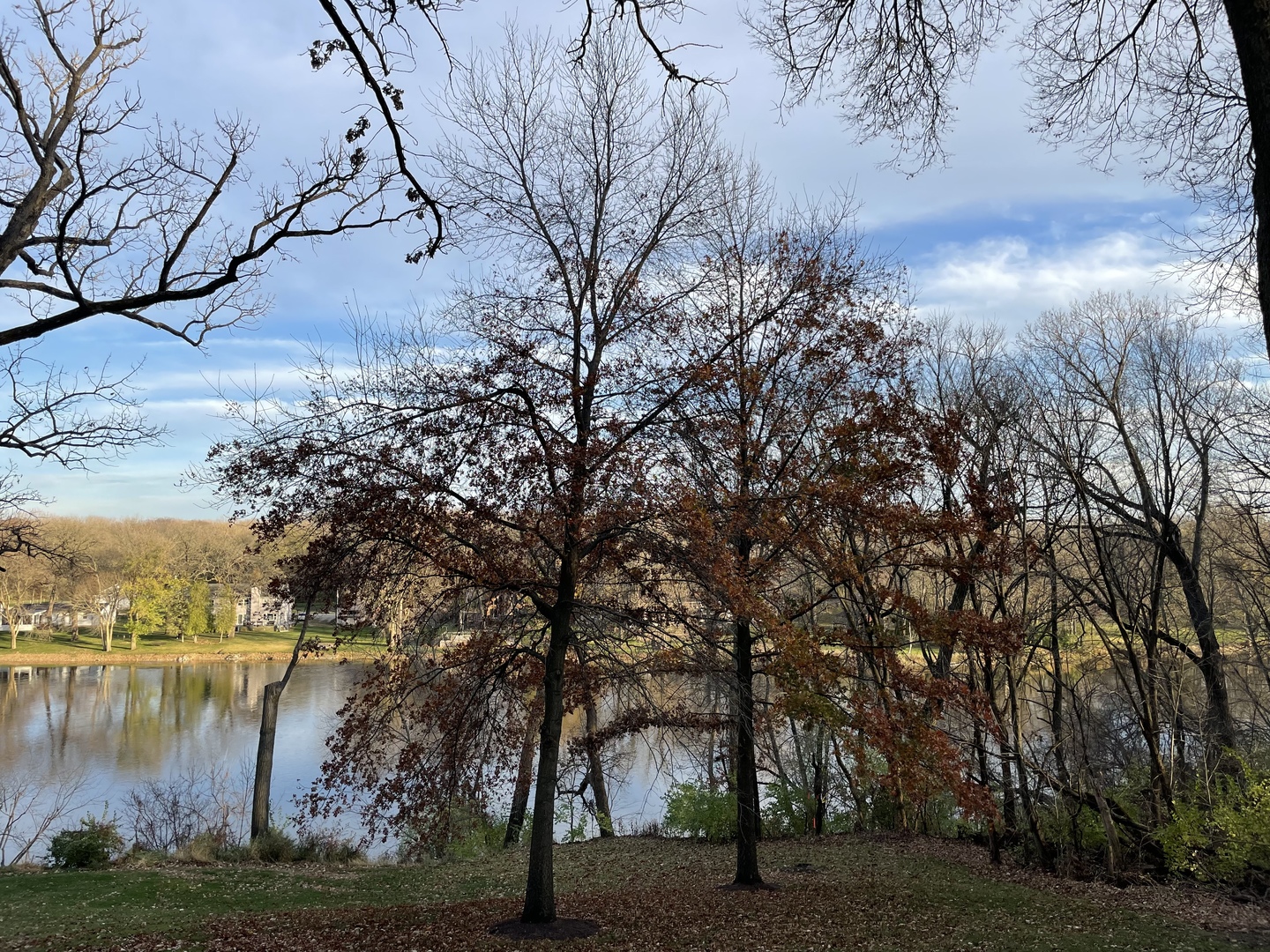 16 Timber Ridge Drive