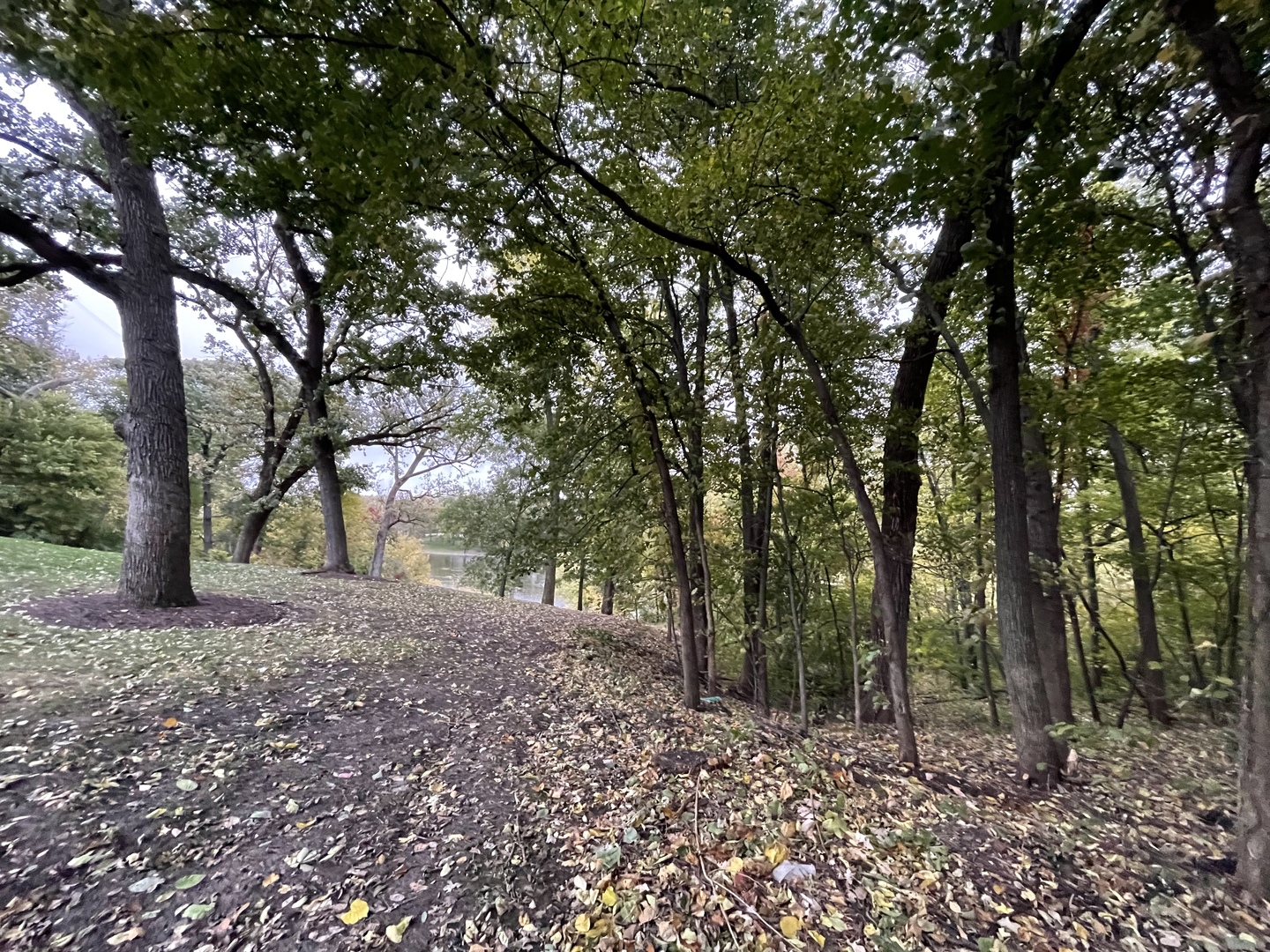 16 Timber Ridge Drive