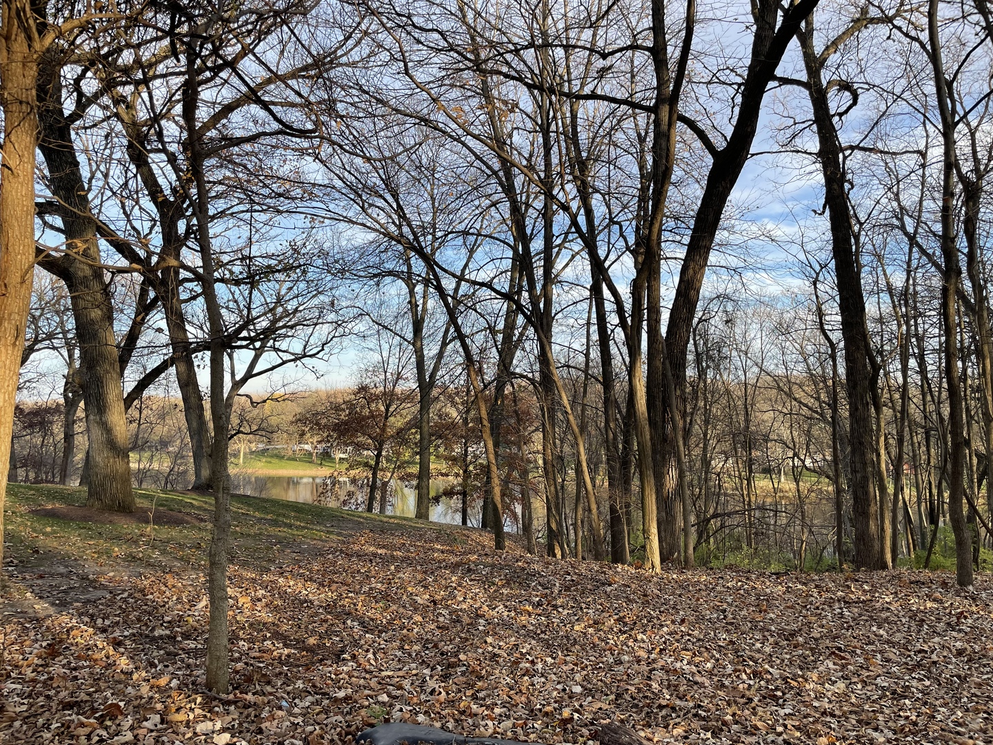 16 Timber Ridge Drive