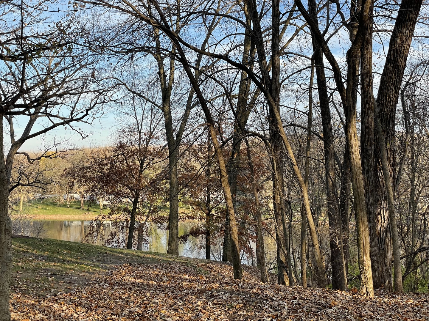 16 Timber Ridge Drive