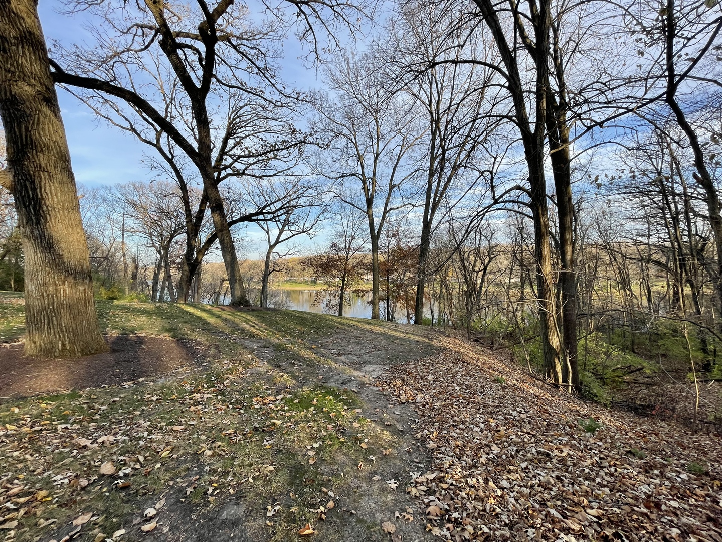 16 Timber Ridge Drive