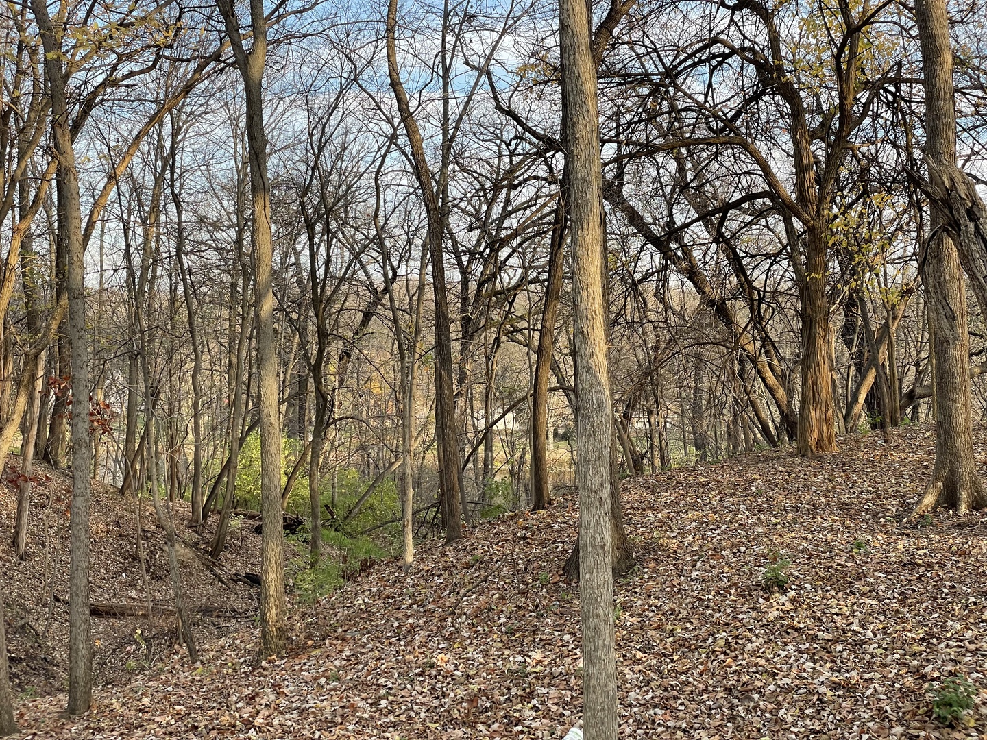 16 Timber Ridge Drive