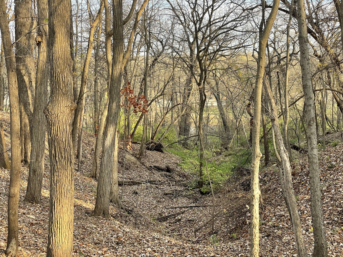 16 Timber Ridge Drive