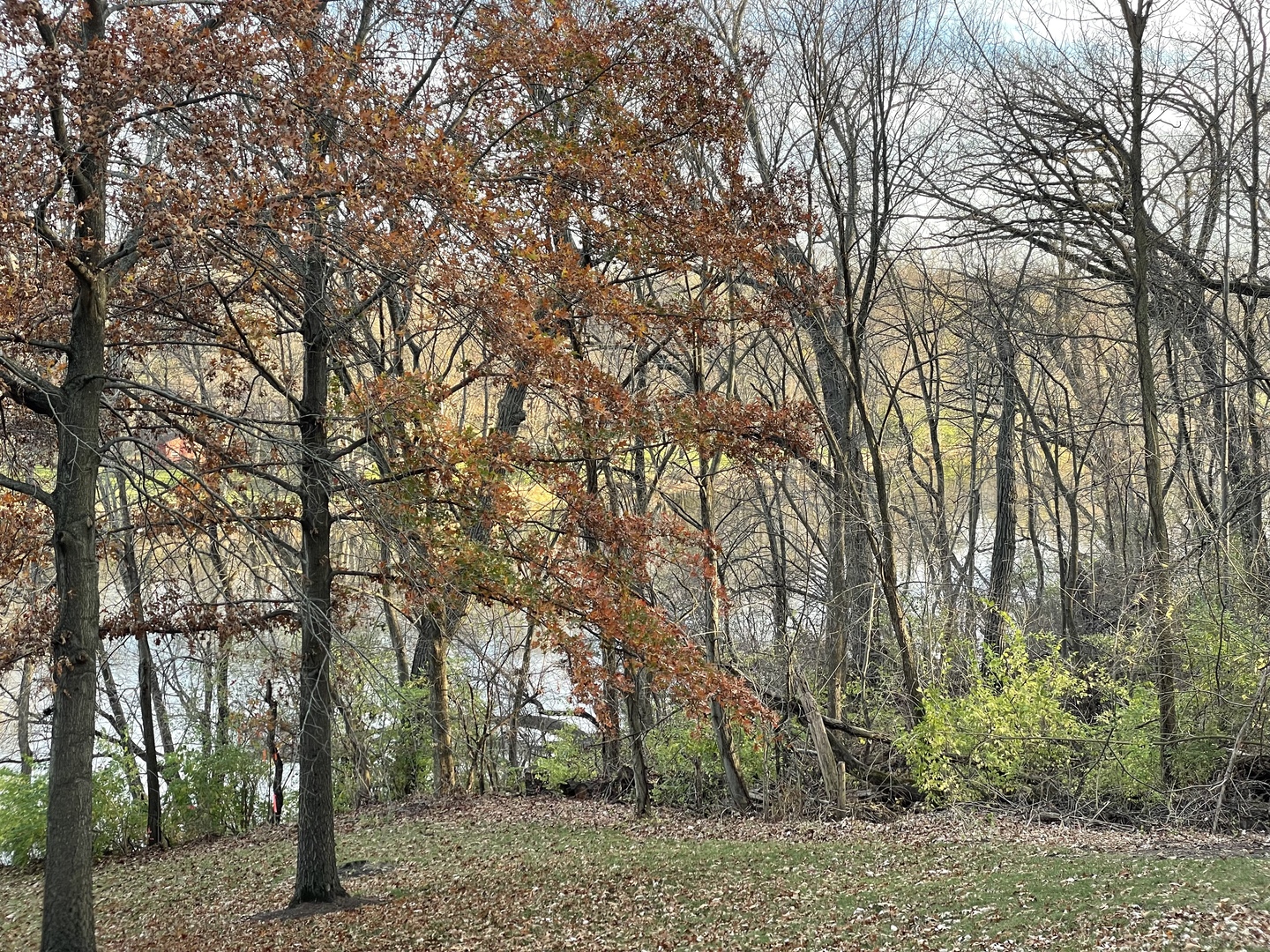 16 Timber Ridge Drive