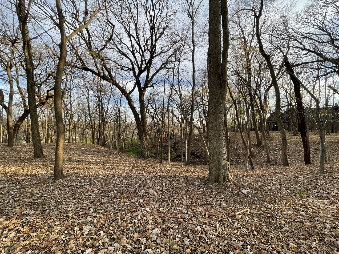 16 Timber Ridge Drive