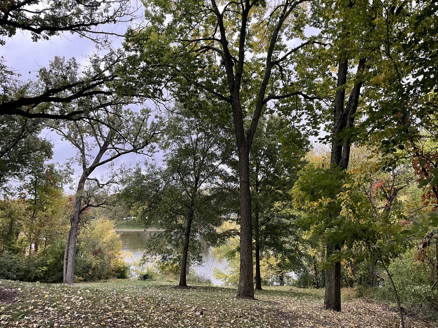 16 Timber Ridge Drive