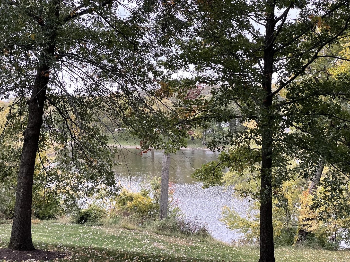 16 Timber Ridge Drive